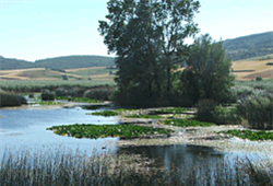 Museo naturalistico del Parco di Colfiorito